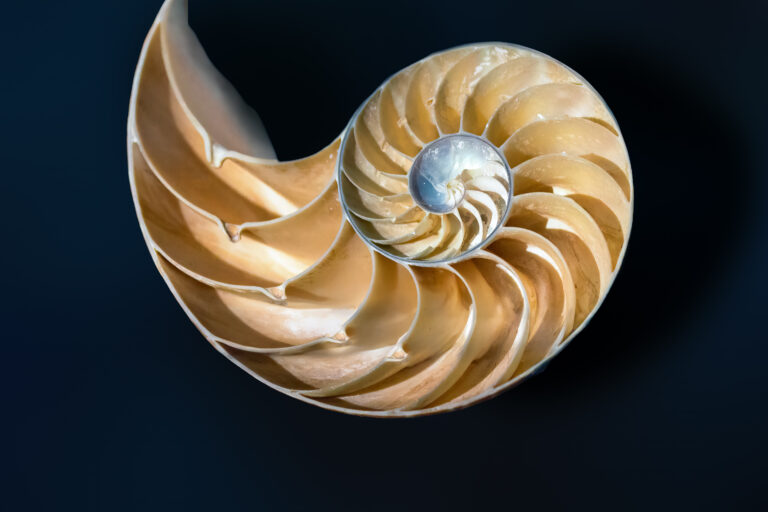 genetista medico